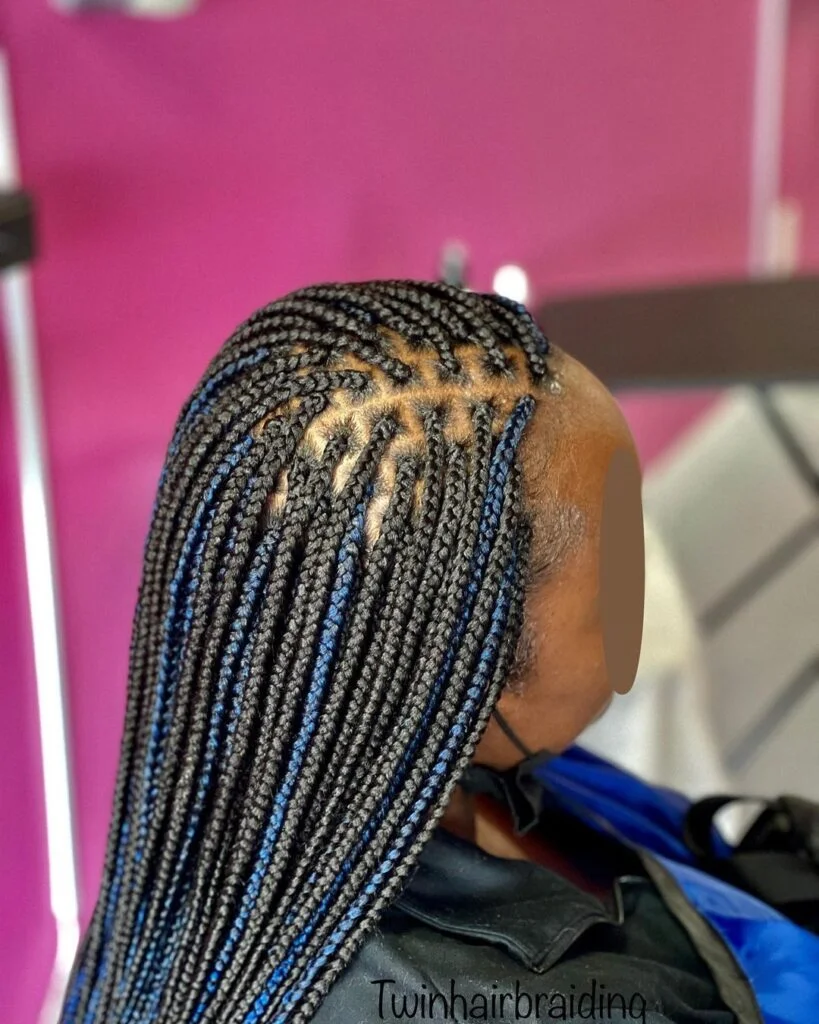 Small Box Braids (2)